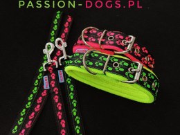 OBROŻA - PAWS 3cm/4cm/5cm