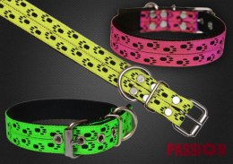 OBROŻA - PAWS 3cm/4cm/5cm