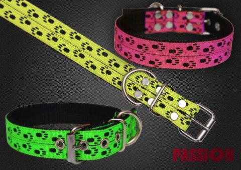 OBROŻA - PAWS 3cm/4cm/5cm OBROŻA - PAWS 3cm/4cm/5cm