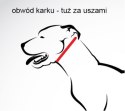 OBROŻA - PAWS 3cm/4cm/5cm