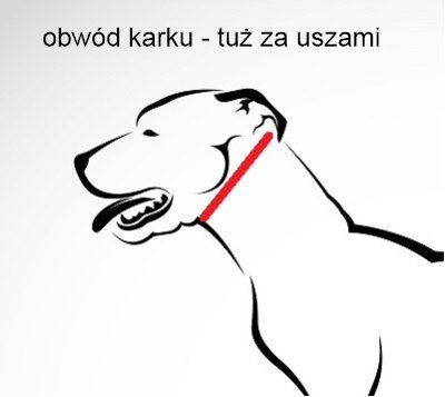 OBROŻA - PAWS 3cm/4cm/5cm OBROŻA - PAWS 3cm/4cm/5cm