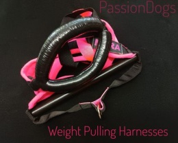 5CM SZELKI DO WEIGHT PULLINGU PRO