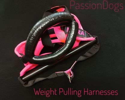 PRO WEIGHT PULLING HARNESS 4CM PRO WEIGHT PULLING HARNESS 4CM