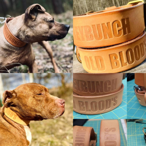 -PIT BULL LEGENDS- LEATHER COLLAR -PIT BULL LEGENDS- LEATHER COLLAR