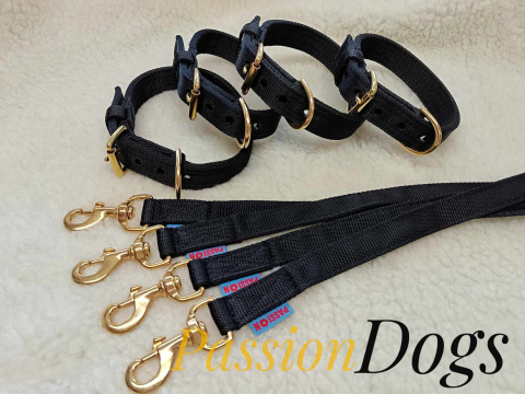 KENNEL COLLAR WITH GOLDEN FITTINGS 3CM KENNEL COLLAR WITH GOLDEN FITTINGS 3CM