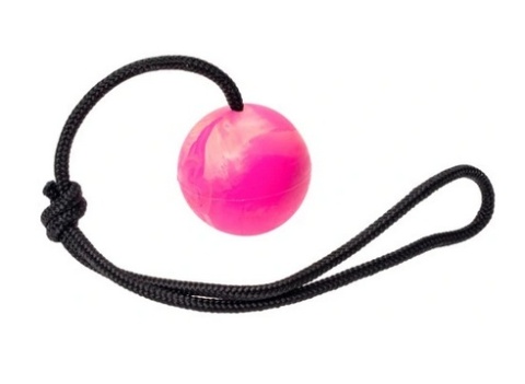 SENTENCE BALL - YOUR DOG WILL LOVE IT! SENTENCE BALL - YOUR DOG WILL LOVE IT!