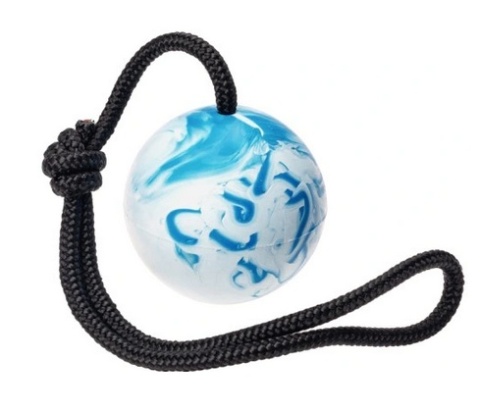SENTENCE BALL - YOUR DOG WILL LOVE IT! SENTENCE BALL - YOUR DOG WILL LOVE IT!