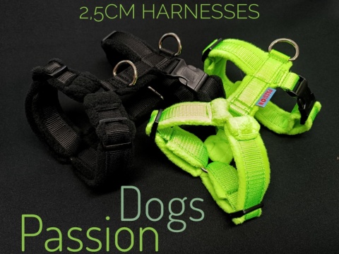 BASIC COMFORT WALKING HARNESS 3cm/4cm/5cm BASIC COMFORT WALKING HARNESS 3cm/4cm/5cm